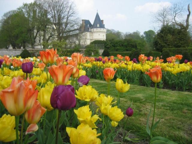 Le Refuge De Normandie Avec Spa Et Cheminee Vila Mesnieres-en-Bray Exterior foto